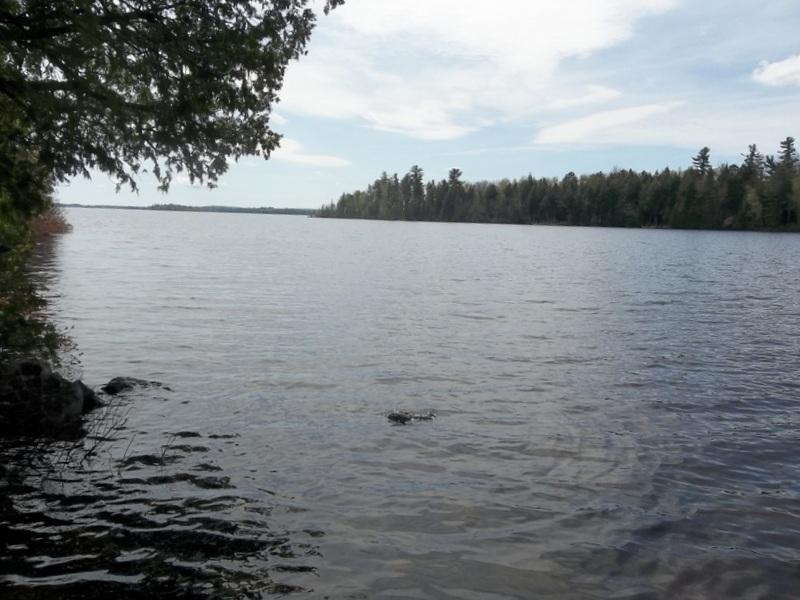 135 Meddybemps Shores Road Alexander, ME 04694 - Photo 29 of 38 100_8518