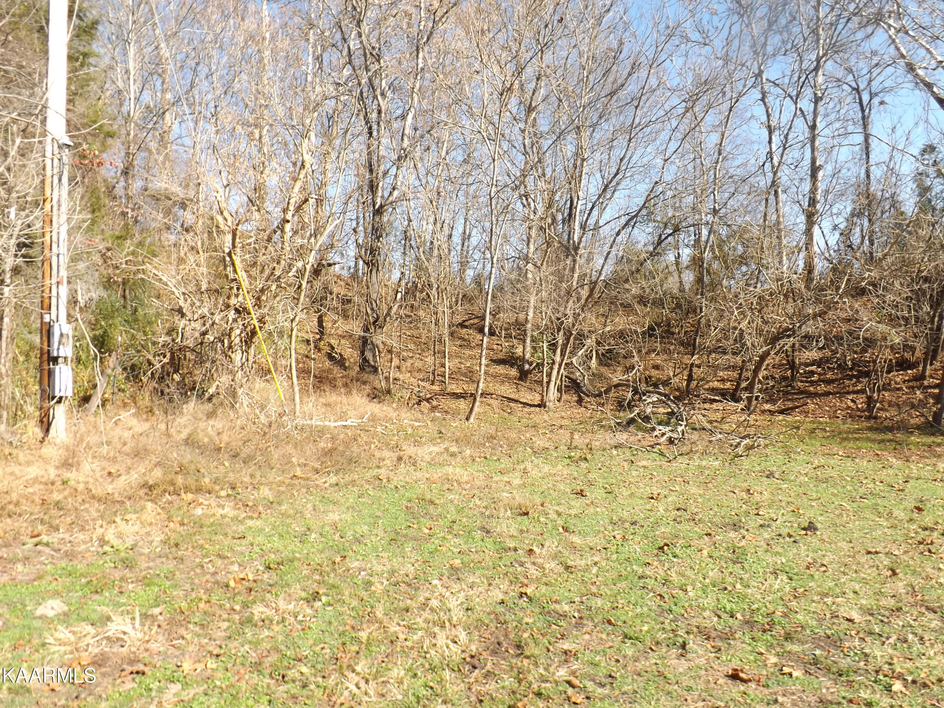 0 Fulton Road Harrogate, TN 37752 - Photo 3 of 17 DSCF0716 - Copy