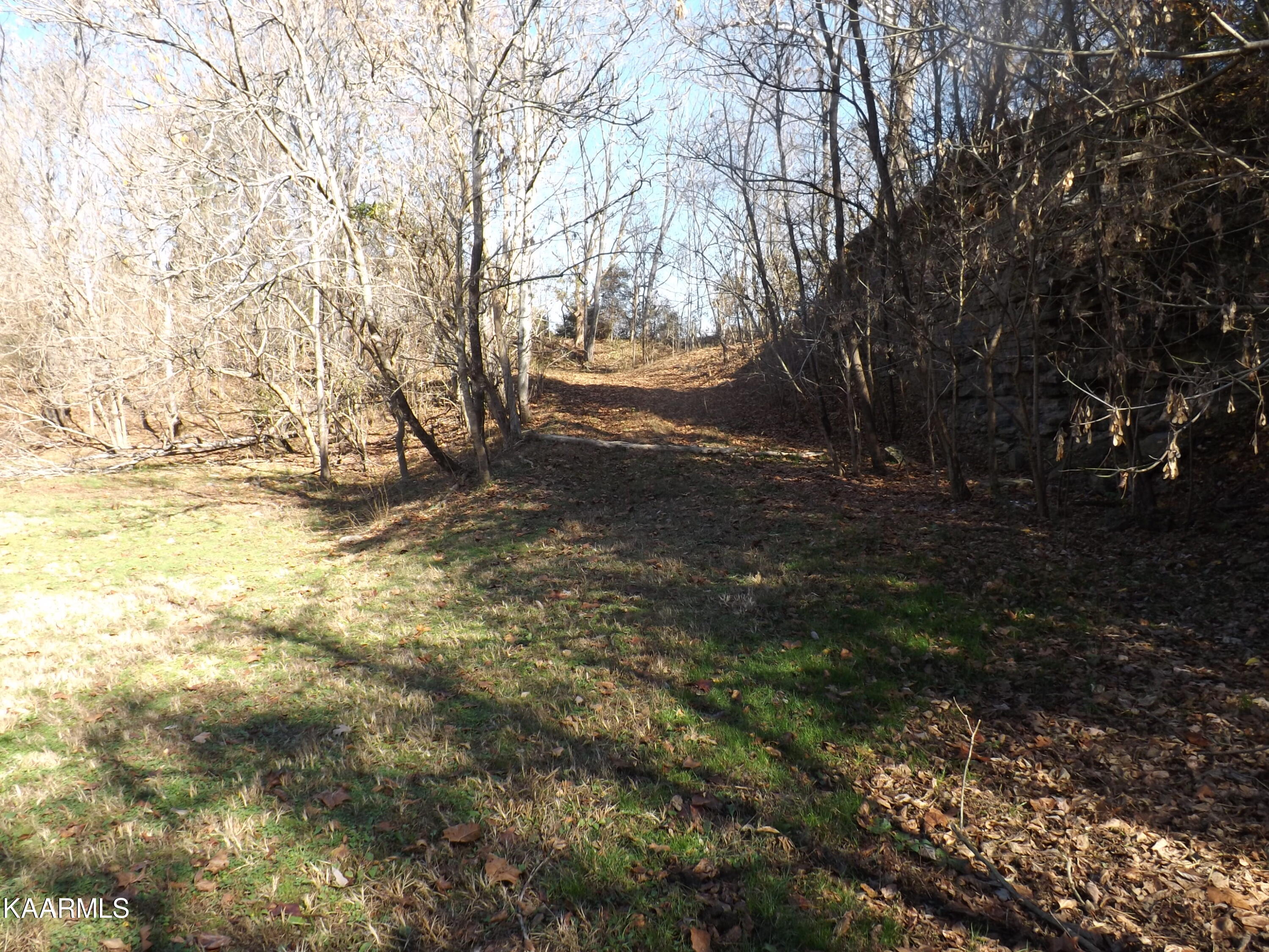 0 Fulton Road Harrogate, TN 37752 - Photo 9 of 17 DSCF0714