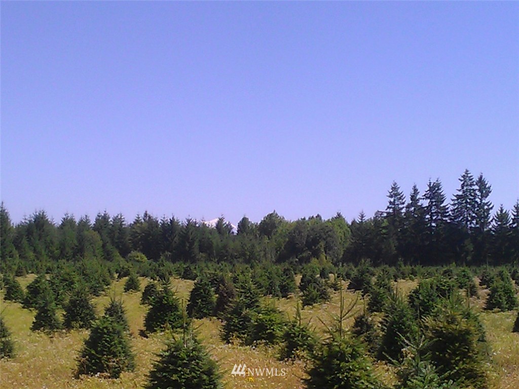 F Brim Road Onalaska, WA 98570 - Photo 1 of 13 Gallery Image 1