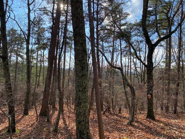 0 Quail Way Jasper, GA 30143 - Photo 2 of 9