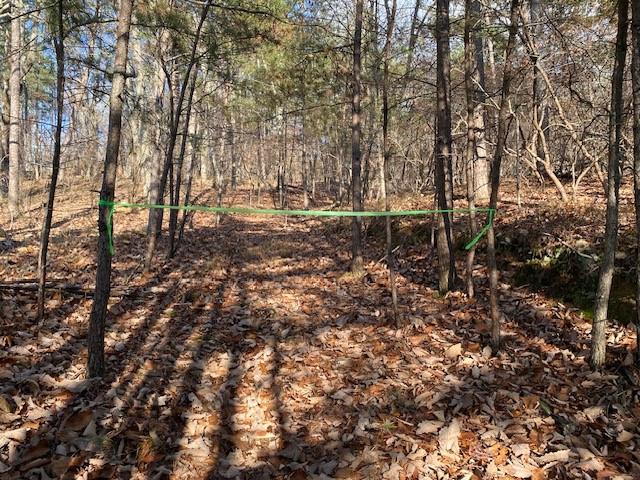 0 Quail Way Jasper, GA 30143 - Photo 5 of 9 a view of outdoor space