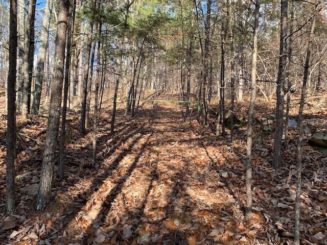 0 Quail Way Jasper, GA 30143 - Photo 6 of 9 a view of yard