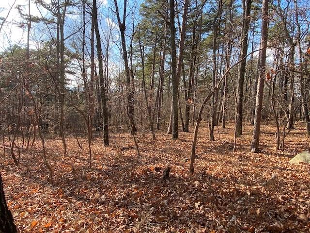 0 Quail Way Jasper, GA 30143 - Photo 7 of 9 a view of a forest filled with trees