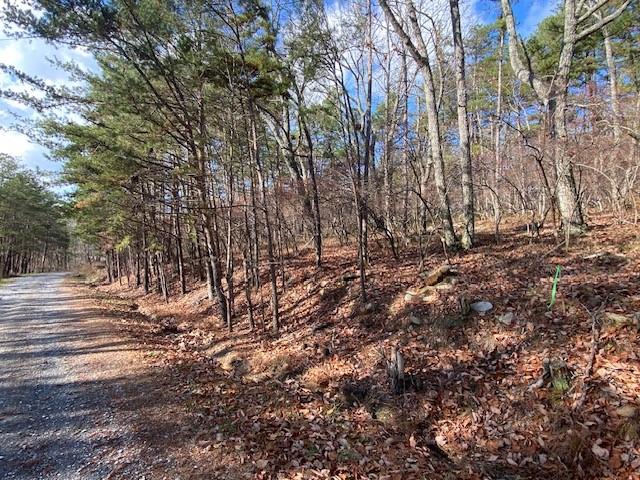 0 Quail Way Jasper, GA 30143 - Photo 9 of 9 a view of a yard with large trees