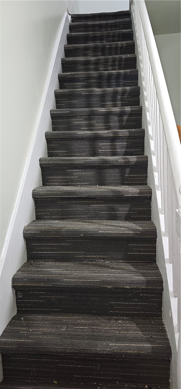 58 Thorn Street Rochester, NY 14613 - Photo 5 of 13