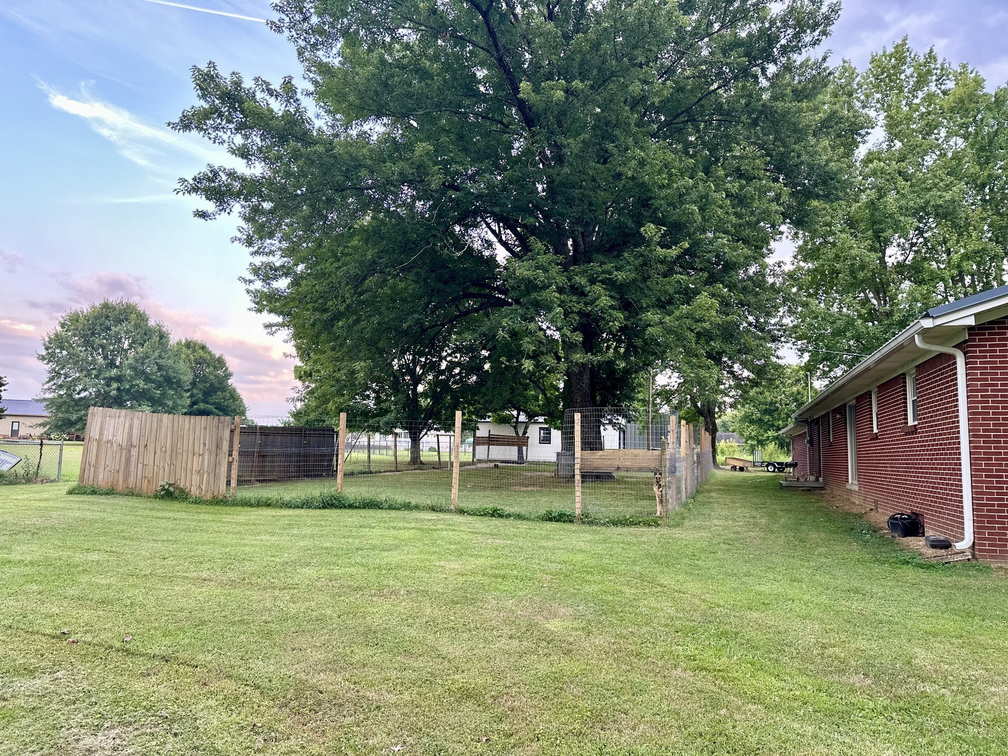 946 Monument Road Summertown, TN 38483 - Photo 4 of 23 a view of a tree in a backyard