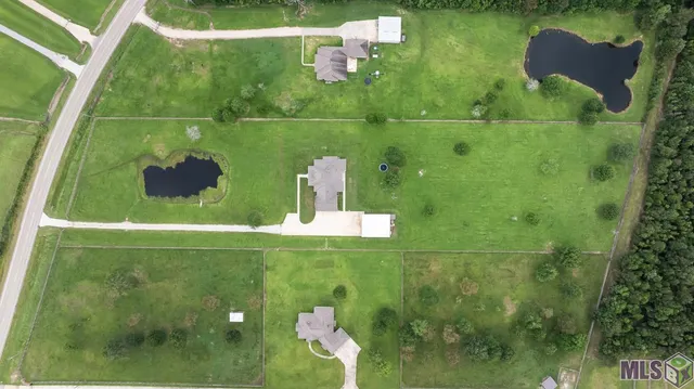 $1,050,000 | 16027 Greenwell Springs Port Hudson Road, Central, LA 70770