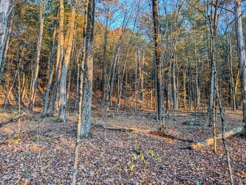 90 South Mountain Road Northfield, MA 01360 - Photo 13 of 22 a view of a backyard