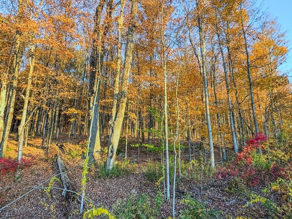 90 South Mountain Road Northfield, MA 01360 - Photo 14 of 22 a view of a pathway both side of building