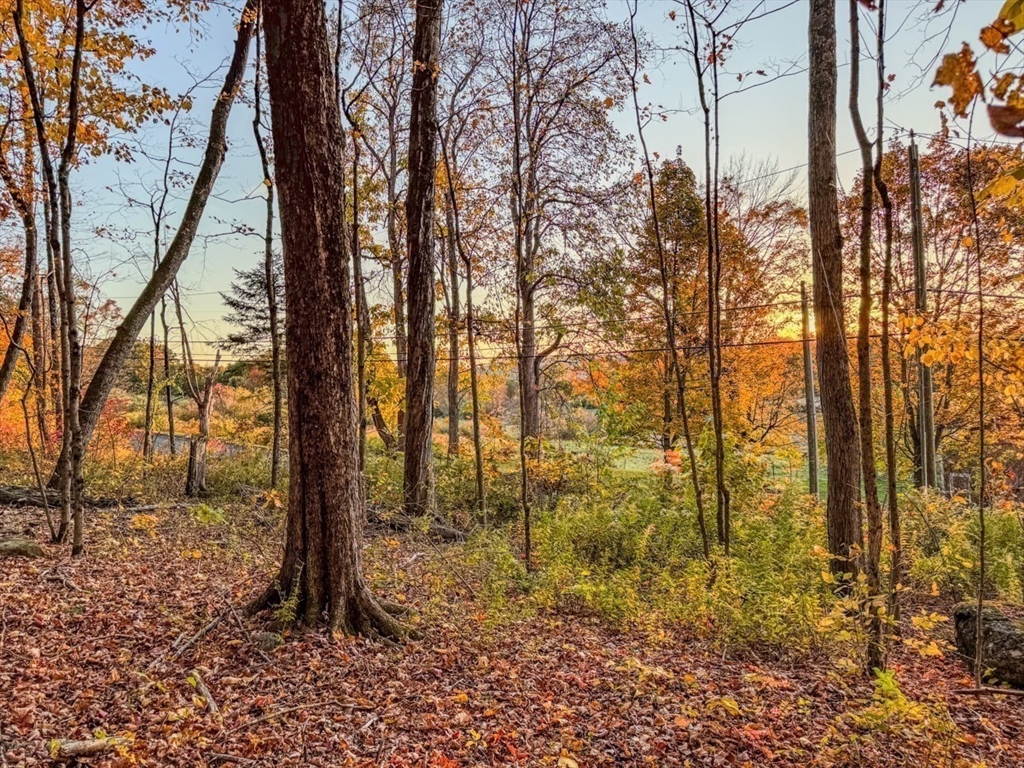 90 South Mountain Road Northfield, MA 01360 - Photo 15 of 22 a backyard of a house with lots of tall trees