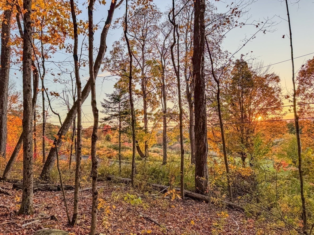 90 South Mountain Road Northfield, MA 01360 - Photo 16 of 22 a backyard of a house with lots of trees