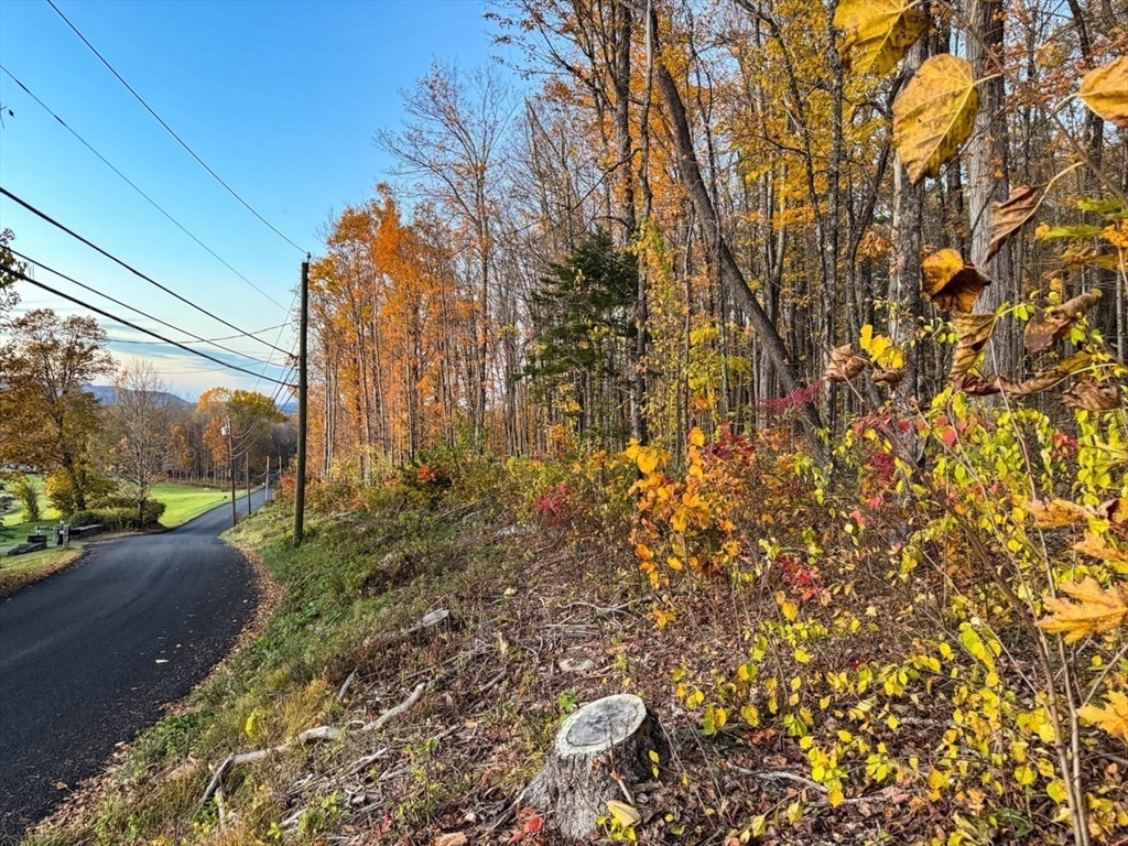90 South Mountain Road Northfield, MA 01360 - Photo 19 of 22 a view of a yard with plants and wooden fence