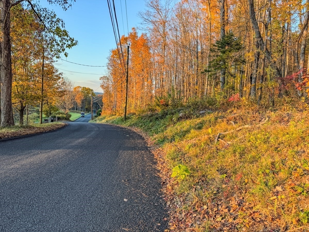 90 South Mountain Road Northfield, MA 01360 - Photo 20 of 22 a view of a road with a yard