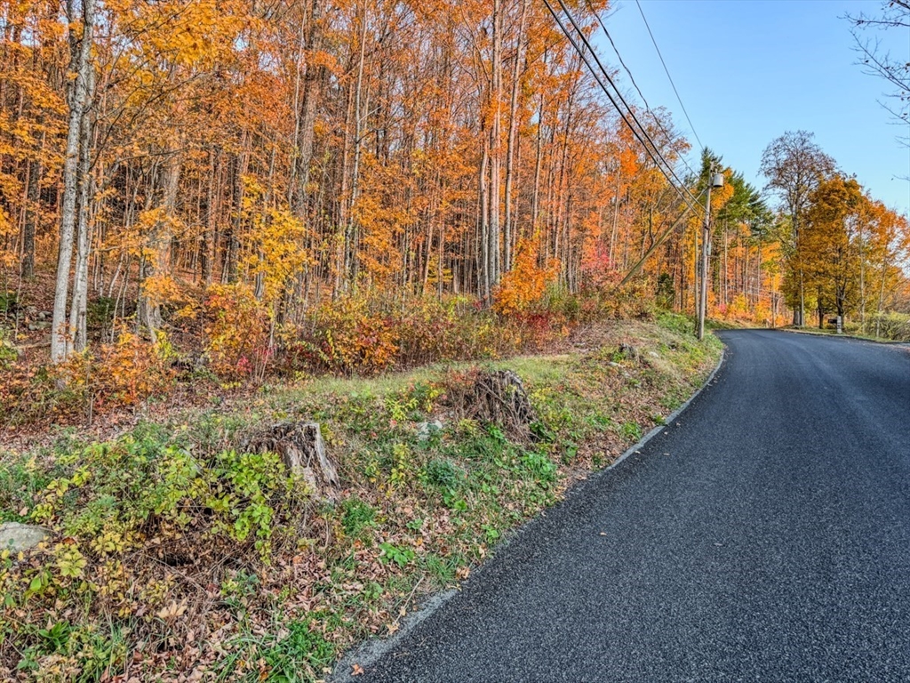 90 South Mountain Road Northfield, MA 01360 - Photo 4 of 22 a view of a yard with large trees