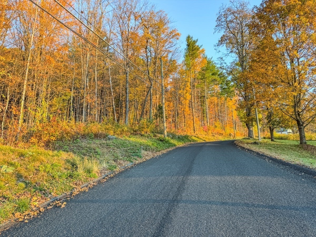 90 South Mountain Road Northfield, MA 01360 - Photo 5 of 22 a view of backyard and tree