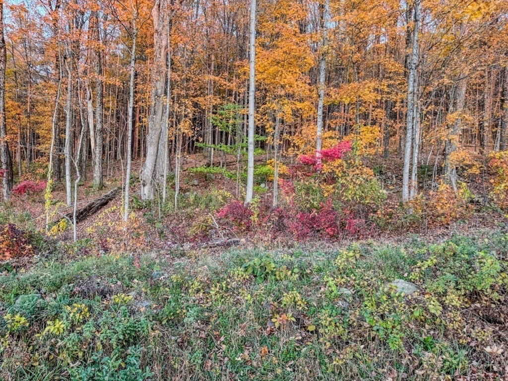 90 South Mountain Road Northfield, MA 01360 - Photo 8 of 22 a view of flower garden