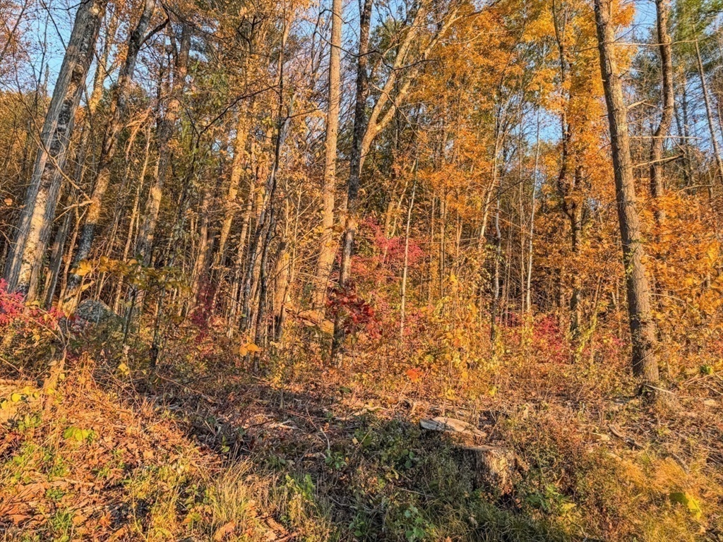 90 South Mountain Road Northfield, MA 01360 - Photo 10 of 22