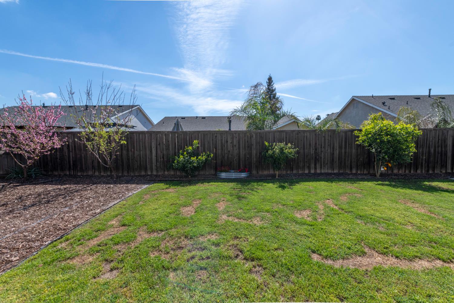 6525 East Raco Avenue Fresno, CA 93727 - Photo 21 of 27 a view of a backyard with plants and wooden fence