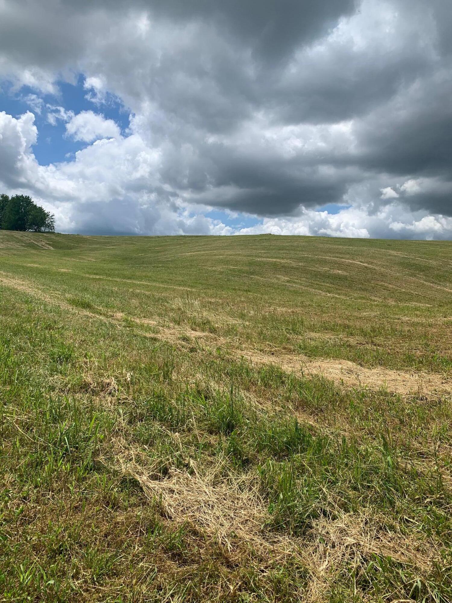 Lot 49 Mae Mckee Road Chuckey, TN 37641 - Photo 2 of 9 IMG_5777