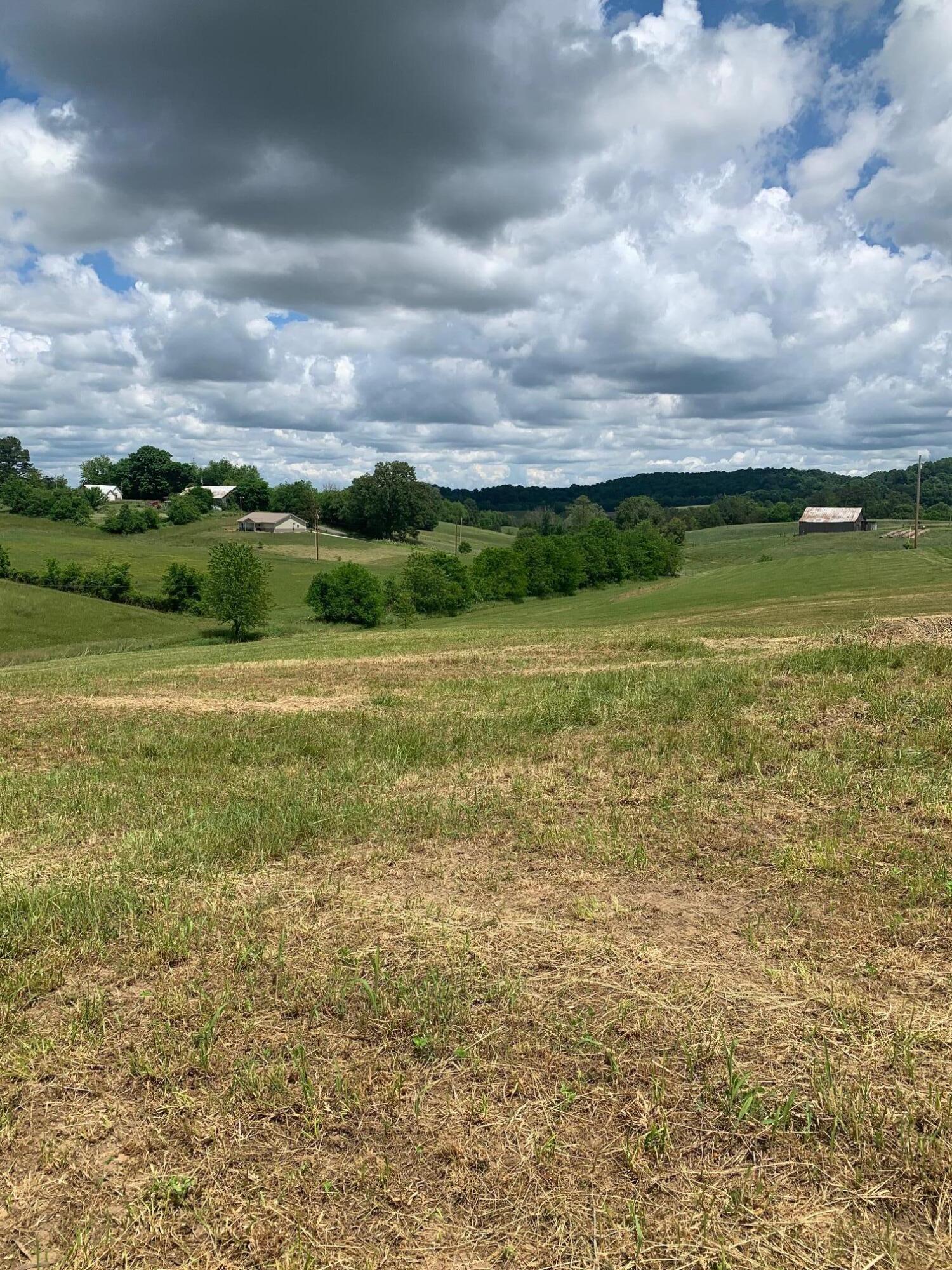 Lot 49 Mae Mckee Road Chuckey, TN 37641 - Photo 5 of 9 IMG_5780