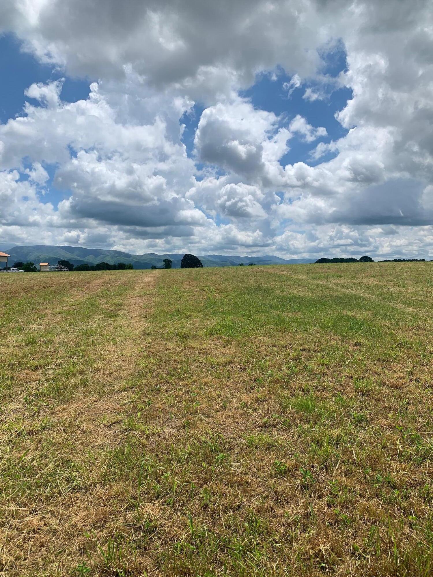 Lot 49 Mae Mckee Road Chuckey, TN 37641 - Photo 6 of 9 IMG_5781