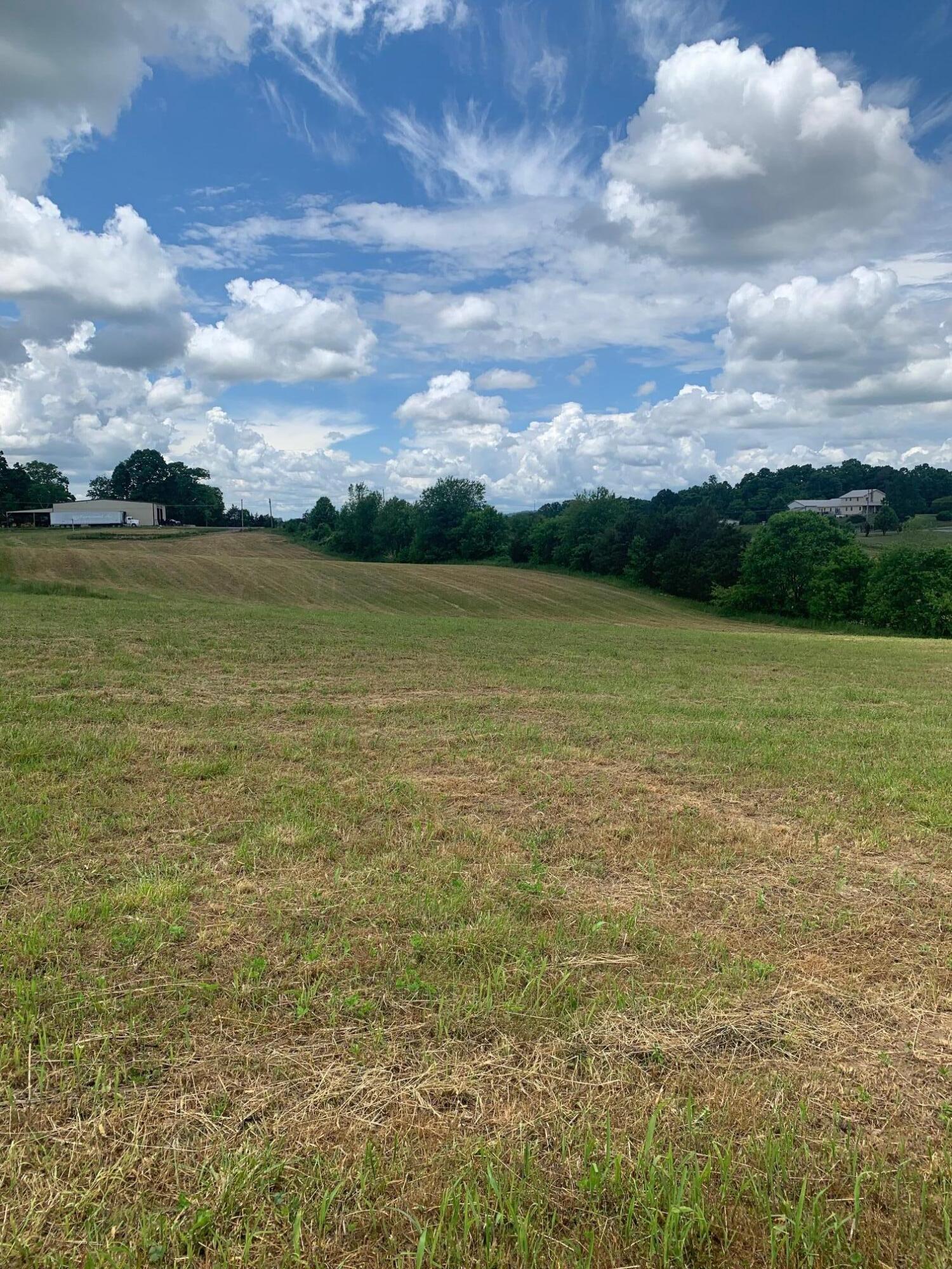 Lot 49 Mae Mckee Road Chuckey, TN 37641 - Photo 7 of 9 IMG_5782