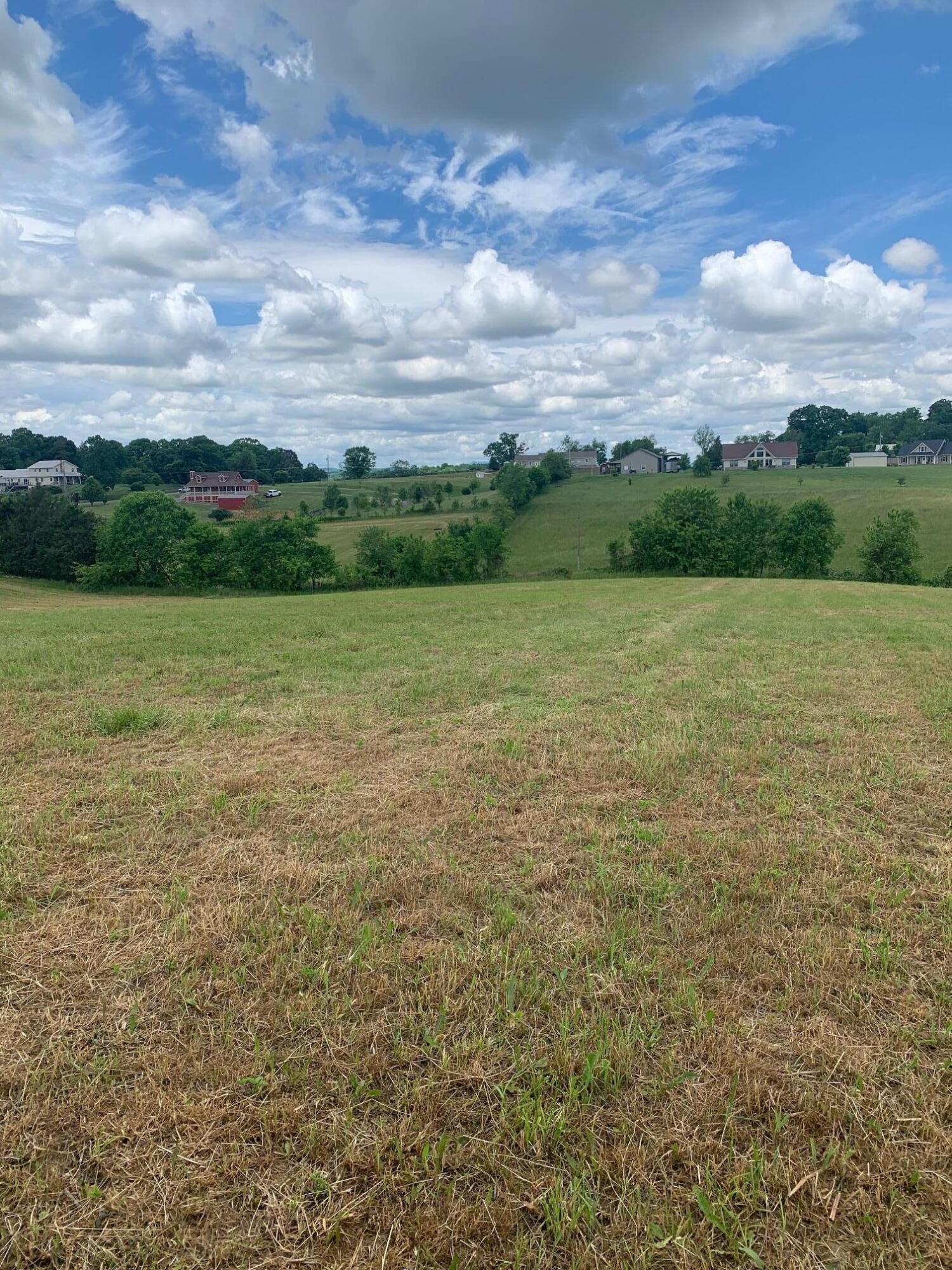 Lot 49 Mae Mckee Road Chuckey, TN 37641 - Photo 8 of 9 IMG_5783
