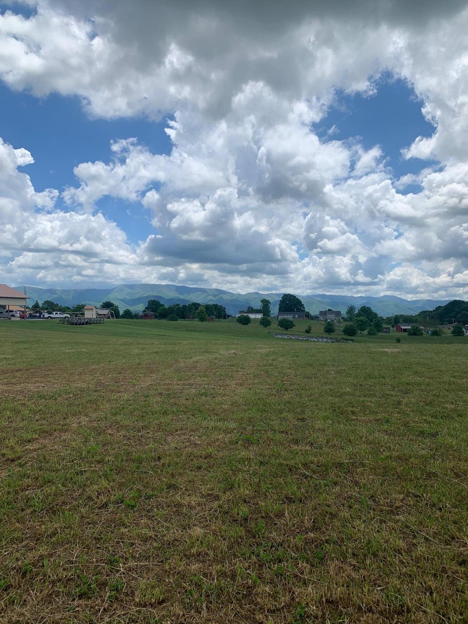 Lot 49 Mae Mckee Road Chuckey, TN 37641 - Photo 9 of 9 IMG_5784