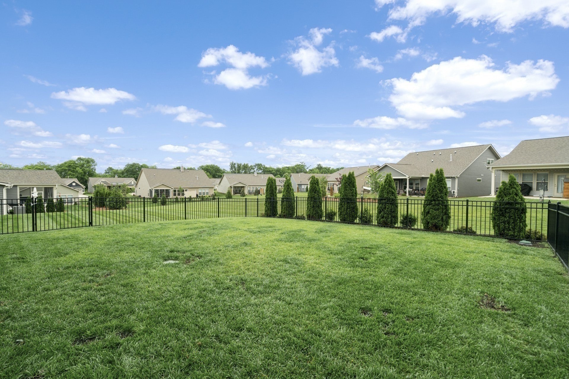 6006 Monroe Way Spring Hill Spring Hill, TN 37174 - Photo 37 of 78