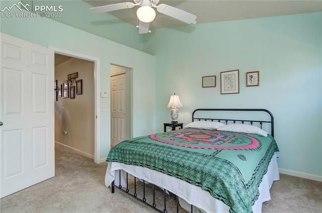 844 Wahsatch Ridge Point Colorado Springs, CO 80903 - Photo 14 of 20
