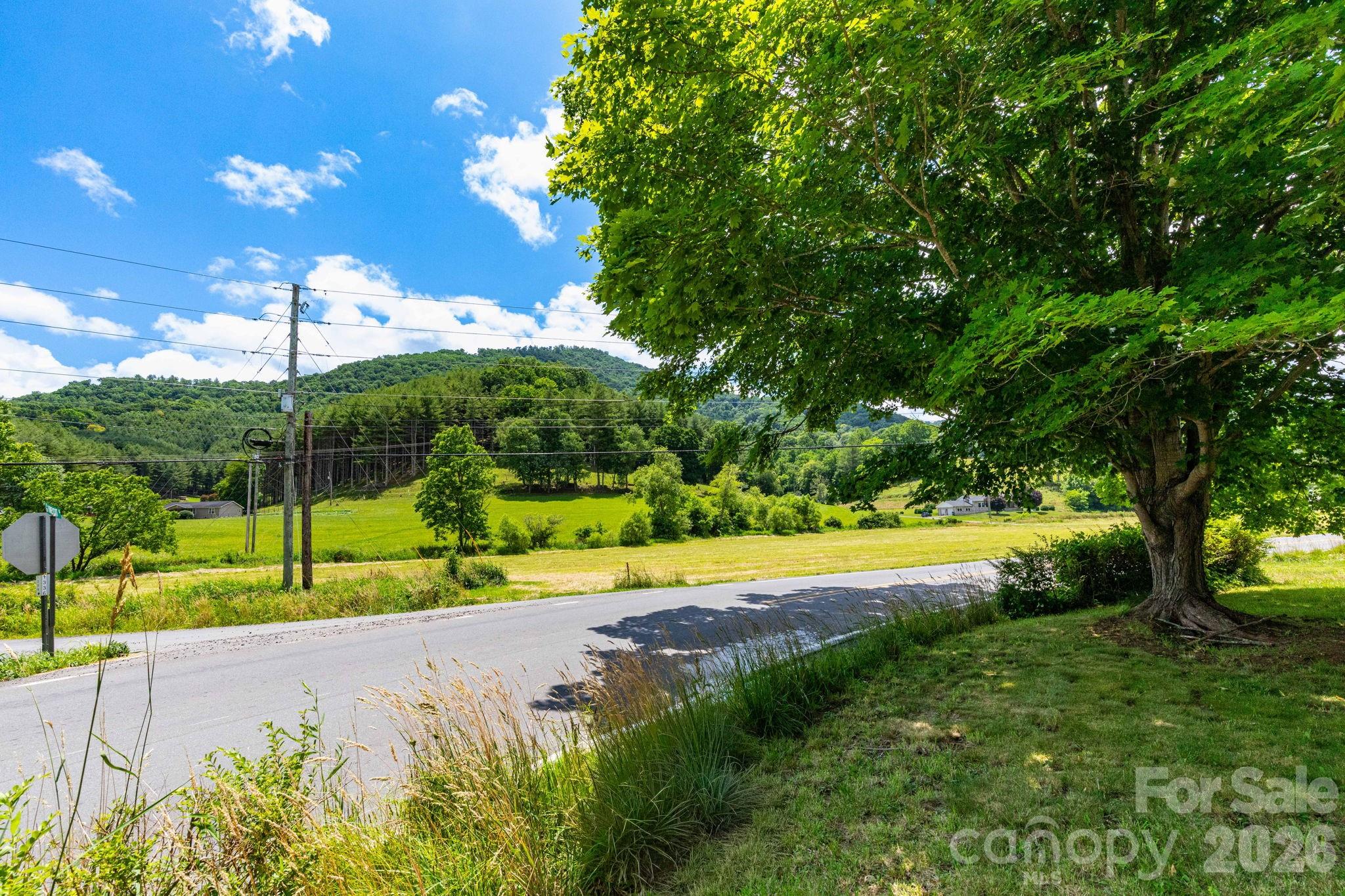 4085 Jacks Creek Road Burnsville, NC 28714 - Photo 24 of 24 a view of a park with large trees