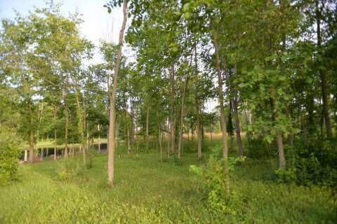 10407 Clinton Road Manchester, MI 48158 - Photo 24 of 25 20413384-23.JPG