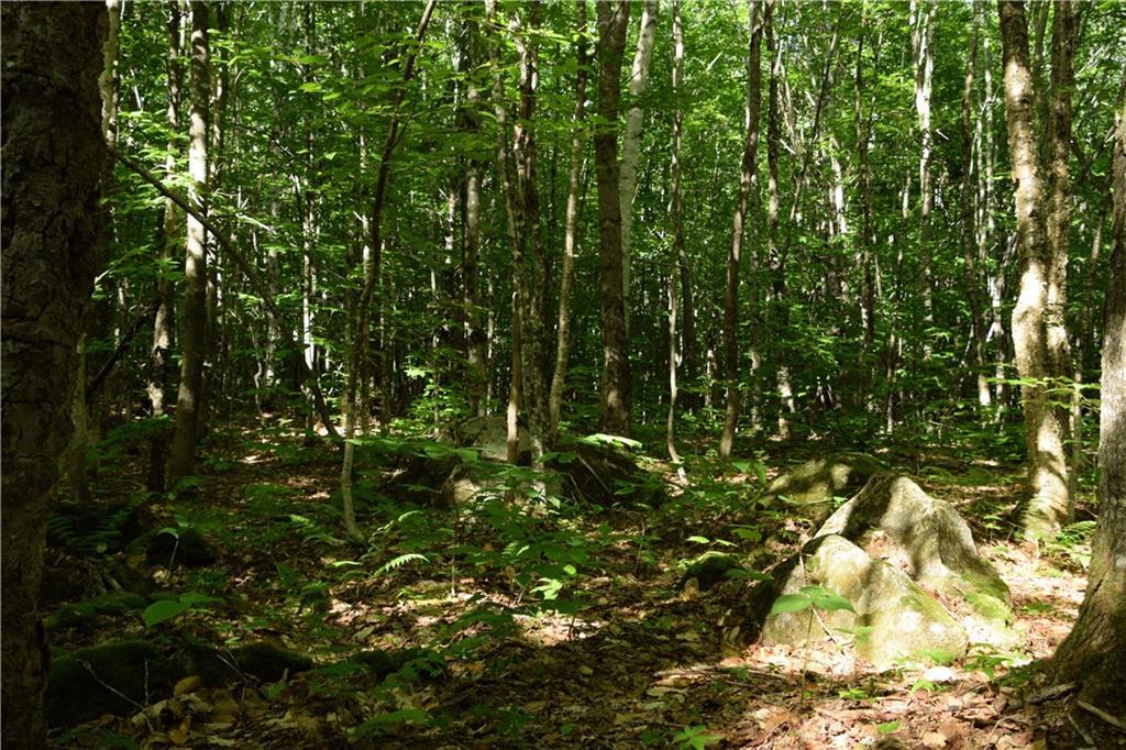 7-16 Ackley Pond Rd Mount Mount Chase, ME 04765 - Photo 16 of 18 Photo