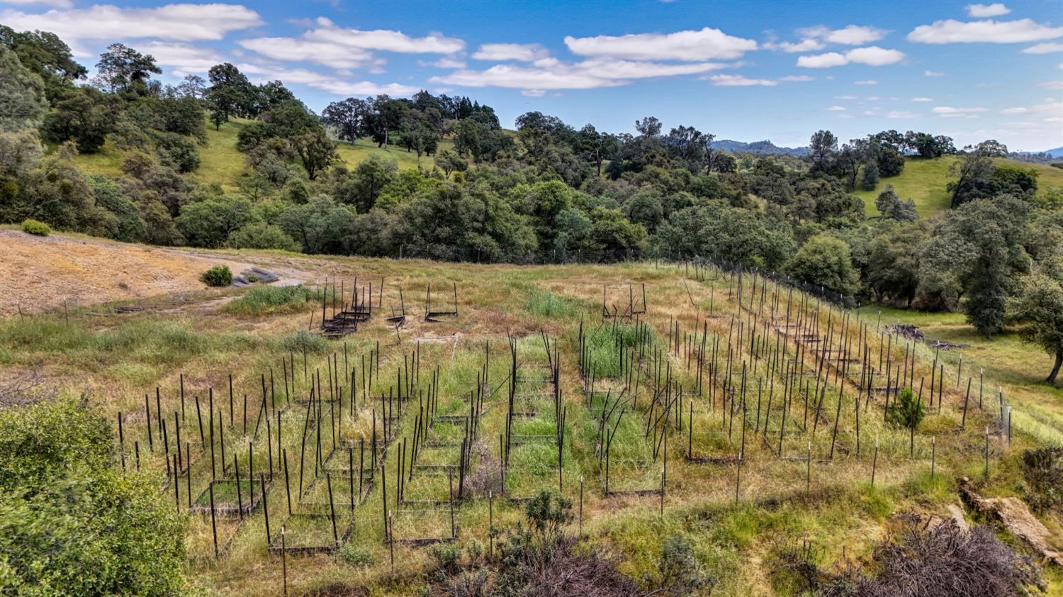 3466 Howard Road San Andreas, CA 95249 - Photo 46 of 61