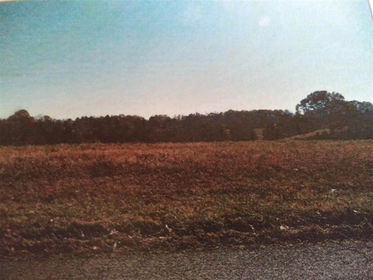 2132 Peace Chapel Road Decaturville, TN 38329 - Photo 9 of 17 Gallery Image 9