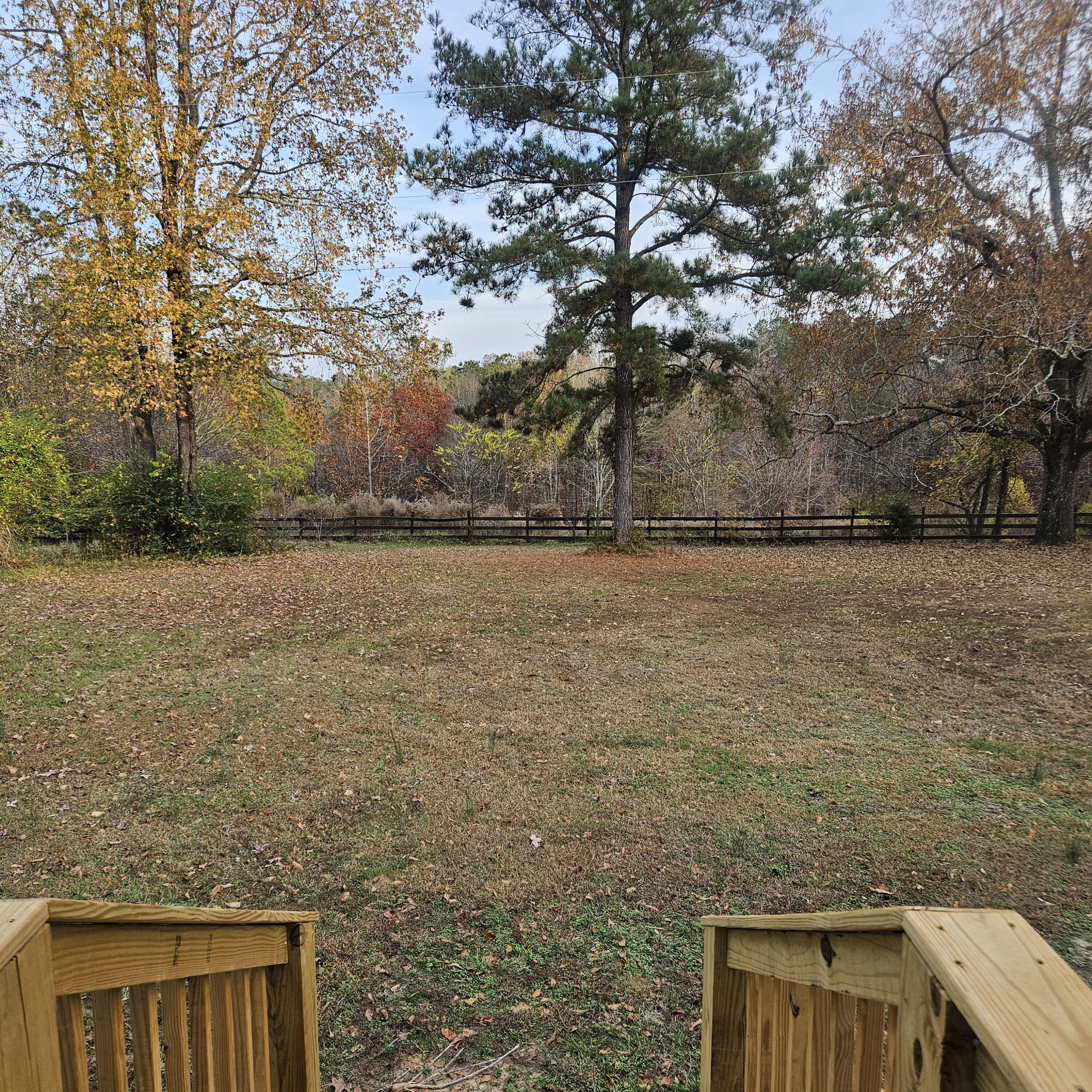 411 Georgia Road Edgefield, SC 29824 - Photo 11 of 65 view from rear door