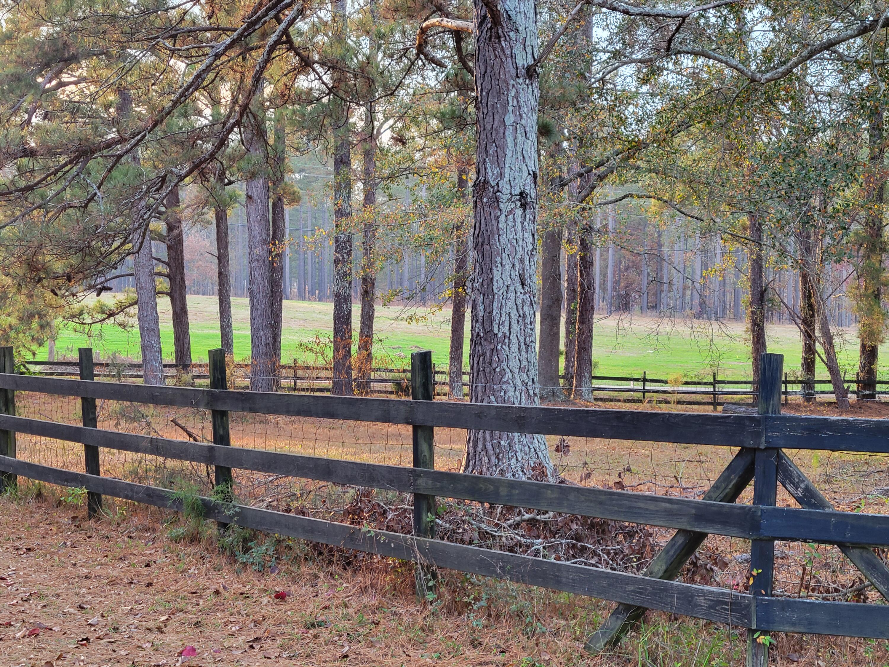 411 Georgia Road Edgefield, SC 29824 - Photo 12 of 65 View from the front yard