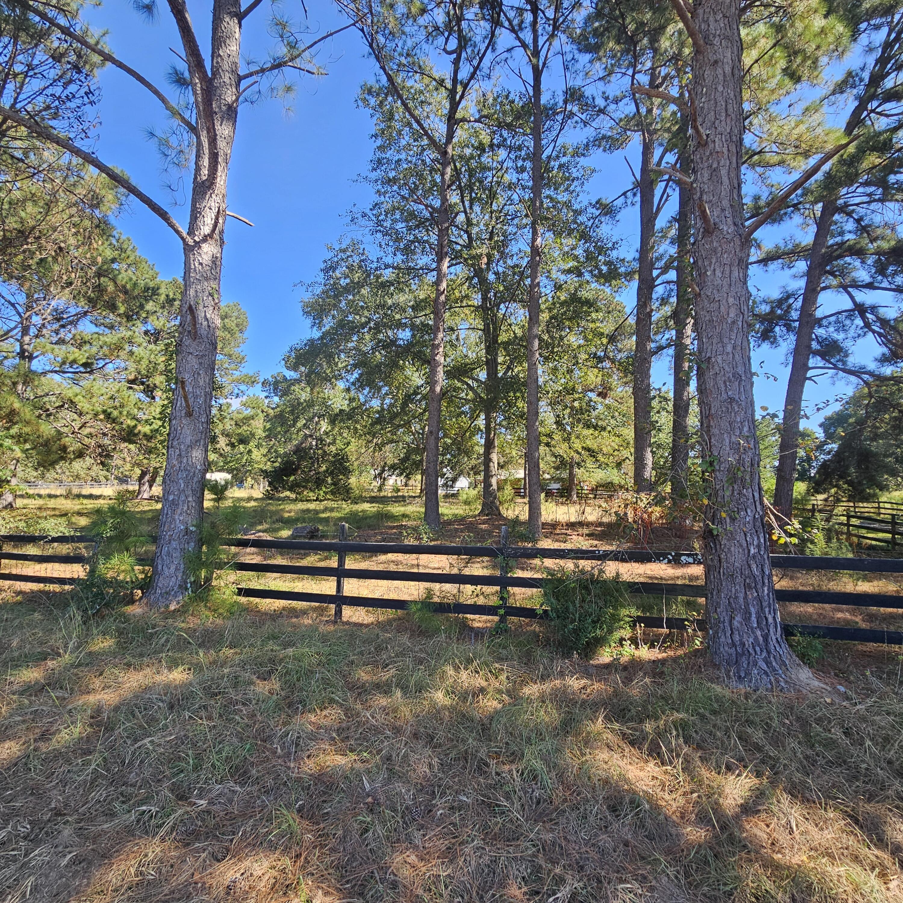 411 Georgia Road Edgefield, SC 29824 - Photo 13 of 65 Road View