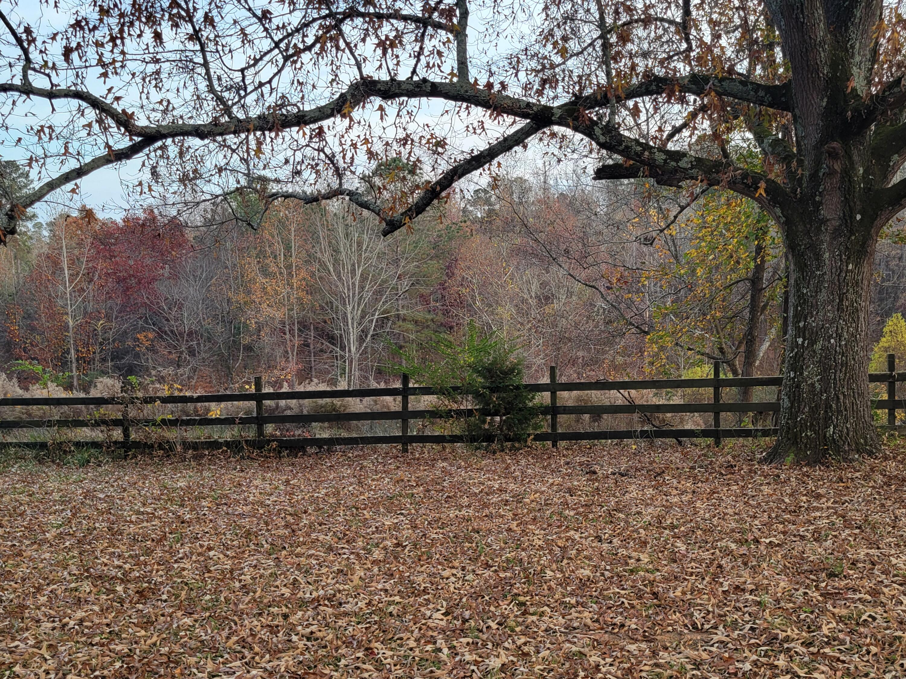 411 Georgia Road Edgefield, SC 29824 - Photo 4 of 65 Rear yard goes beyond the fence