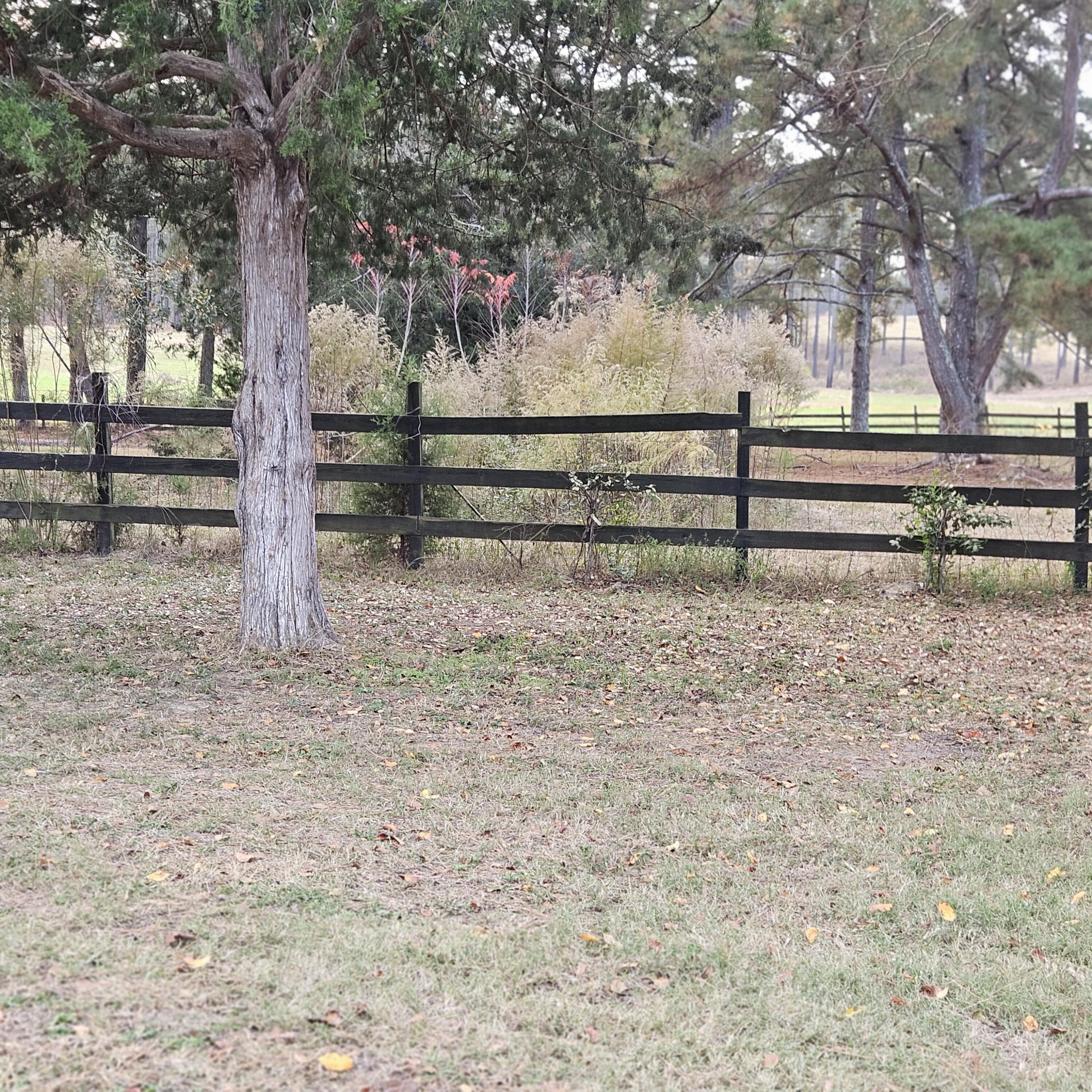 411 Georgia Road Edgefield, SC 29824 - Photo 10 of 65 view from garage