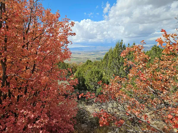 $30,000 | 30 East Elk Springs Drive South, Unit 30, Mount Pleasant, UT 84647