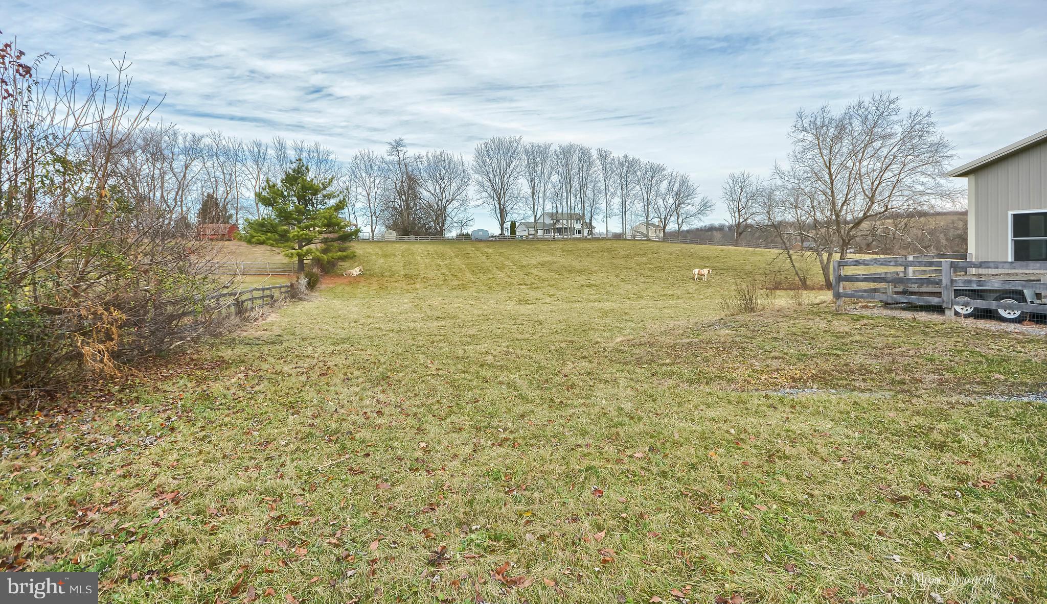 11440 Weller Road Monrovia, MD 21770 - Photo 12 of 30 Peaceful Serenity