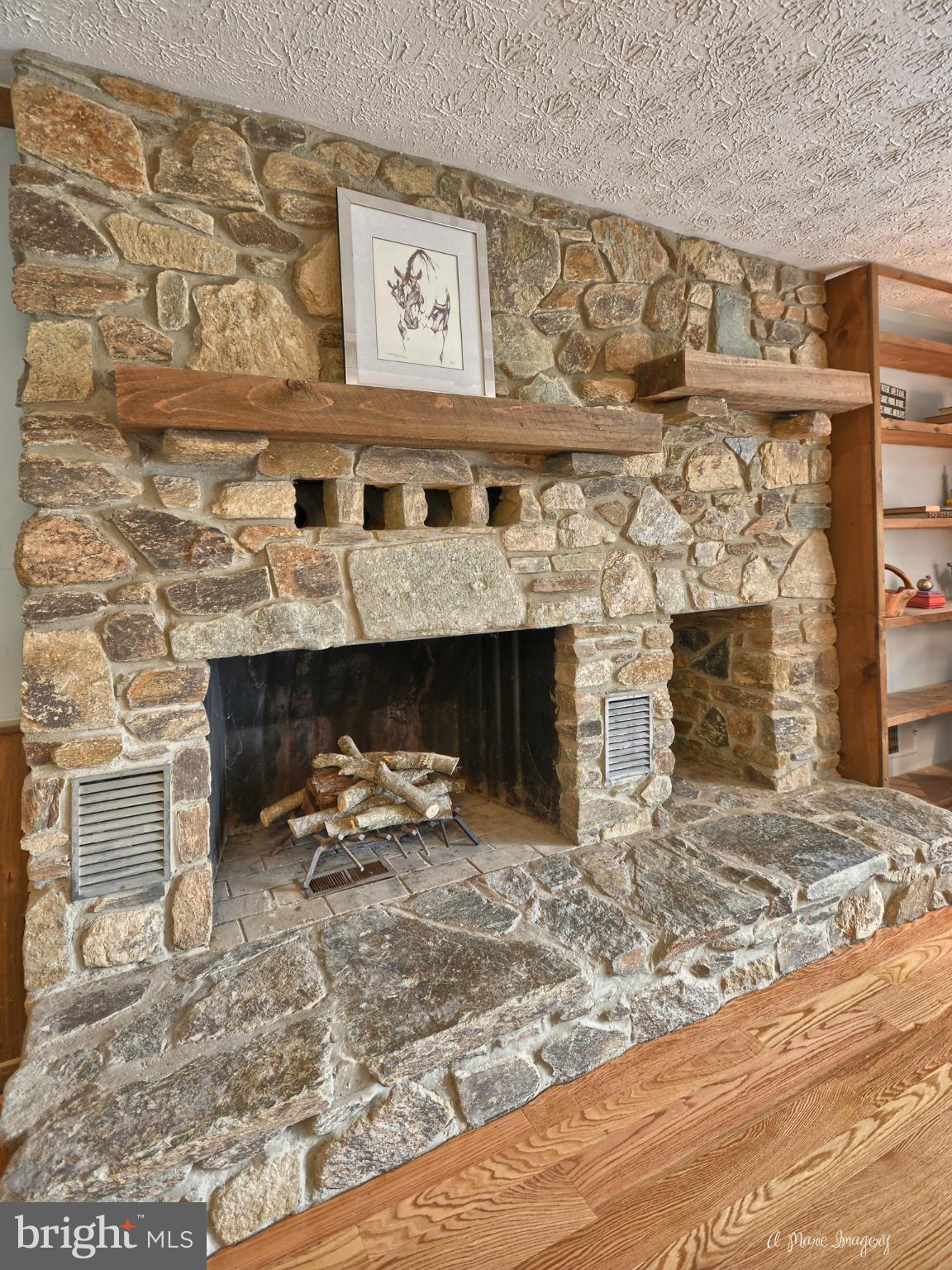 11440 Weller Road Monrovia, MD 21770 - Photo 3 of 30 Custom Stone Fireplace in Master Suite