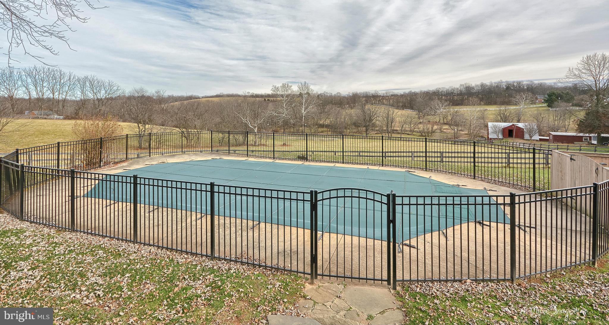 11440 Weller Road Monrovia, MD 21770 - Photo 25 of 30 Swimming Pool