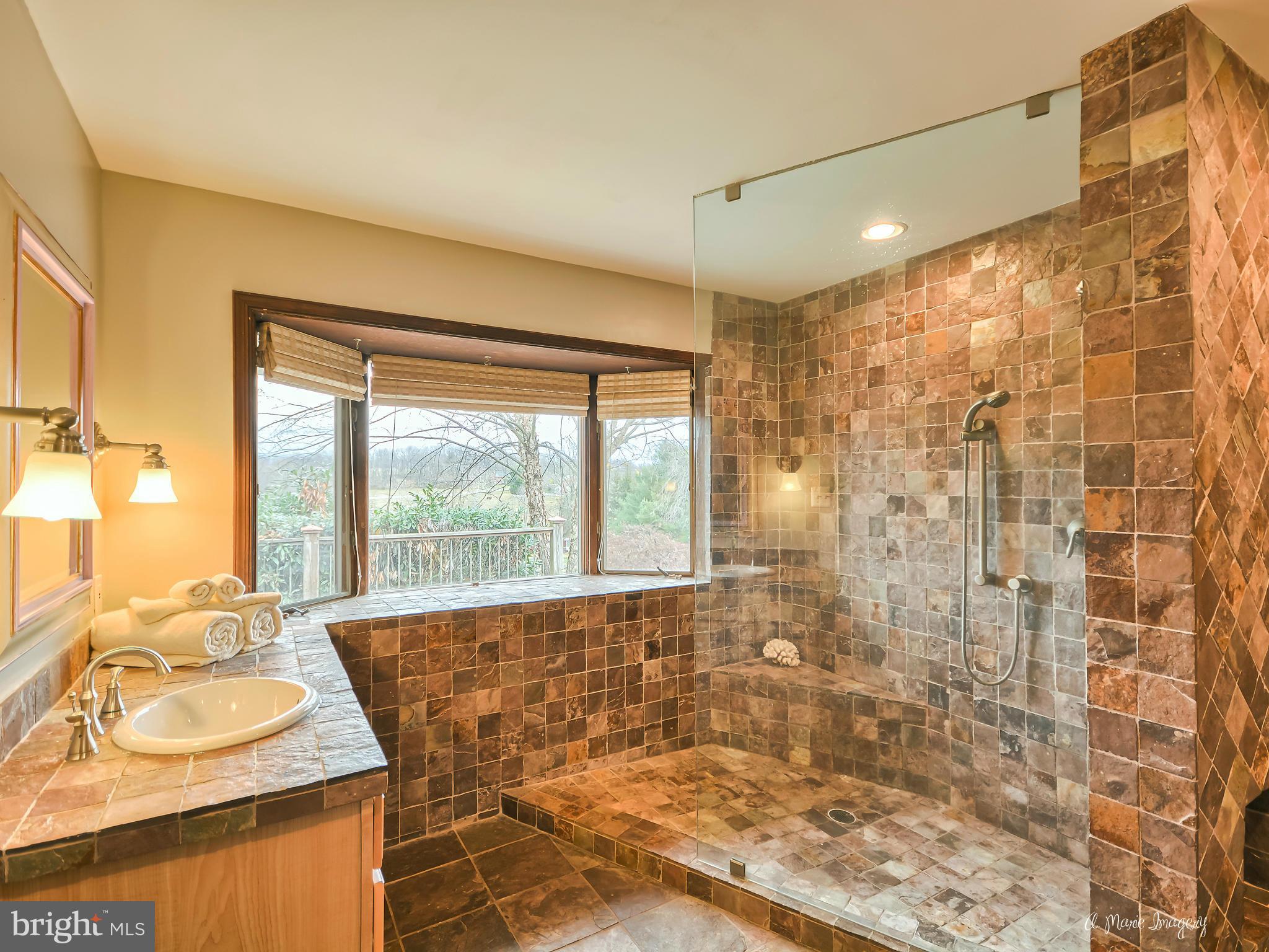11440 Weller Road Monrovia, MD 21770 - Photo 7 of 30 Updated Luxurious Master Bath