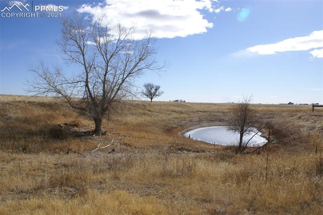 0 Jones Road Peyton, CO 80831 - Photo 5 of 9 Natural Pond On Property