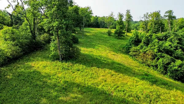 a view of yard with green space