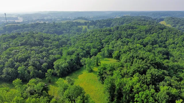 a view of a green field with lots of bushes
