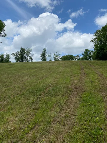 a view of a field with an ocean
